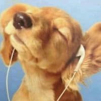 TikTok Account - jodeljunge