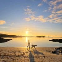 TikTok Account - a7h_vv