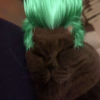 TikTok Account - ruorika