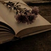 TikTok Account - nexa.edits4