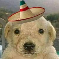 TikTok Account - aaron.galan0