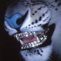 TikTok Account - kikitingzz