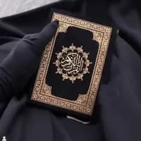 TikTok Account - feyrouzlebnen