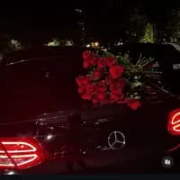 TikTok Account - pantera_zez_0