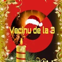 TikTok Account - vecinu.de.la.bloc