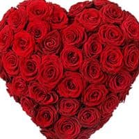 TikTok Account - user2324251823