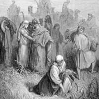 TikTok Account - mrsvriaa