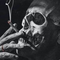 TikTok Account - annodyne8