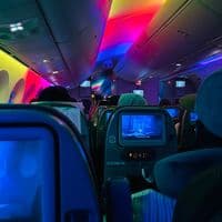 TikTok Account - amusababai