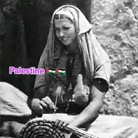 TikTok Account - offtalkofficial