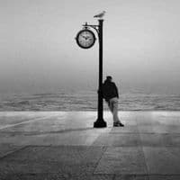 TikTok Account - elizion001