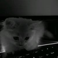 TikTok Account - dope.music9