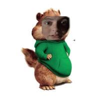 TikTok Account - _audere