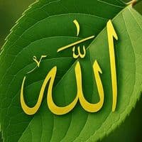 islam_forever54