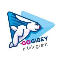 TikTok Account - gogibey