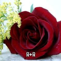 TikTok Account - user123456789202425