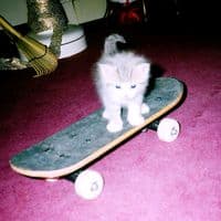 TikTok Account - _cola_710_