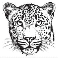 TikTok Account - indlovukazi.yamanzi