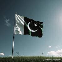 TikTok Account - navinthapa361