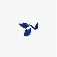 TikTok Account - 13____0424