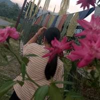 TikTok Account - bumcho6