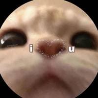 TikTok Account - saraswotieyyy