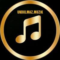 TikTok Account - undulmaz.muzik