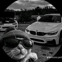 TikTok Account - yewongselden606