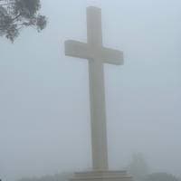 TikTok Account - sprout0011