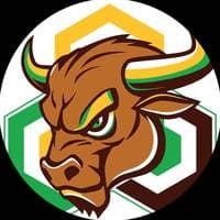 TikTok Account - blockchainsbulhorn2.0