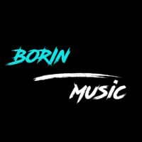 TikTok Account - borin_music11