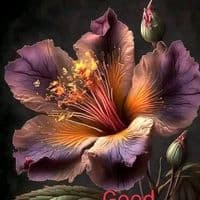 TikTok Account - godisthere6