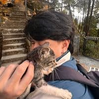 TikTok Account - bakasenish