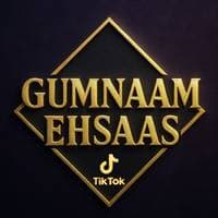 TikTok Account - gumnaamehsaas