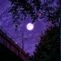 TikTok Account - aboutuzeyirlife