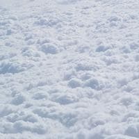 TikTok Account - liltimmy6969638