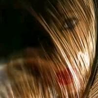 TikTok Account - ___lady________