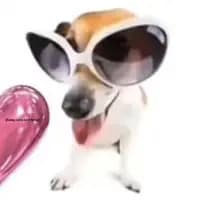 TikTok Account - lucy_hastoomanybvtches