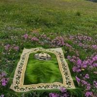 TikTok Account - enjoy.cric1