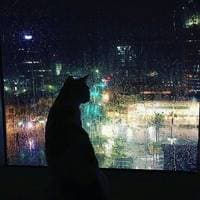 TikTok Account - spe3d.up.audios1