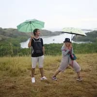 TikTok Account - daily.flove