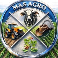 TikTok Account - mksantos2s