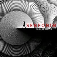 TikTok Account - senfonimc