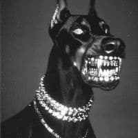 TikTok Account - prod.icedout