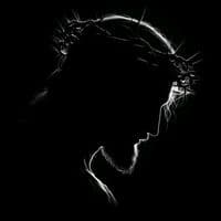 TikTok Account - merhwit3