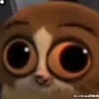 TikTok Account - its.yulieee