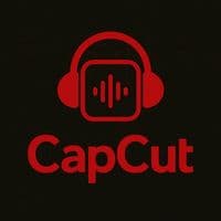 TikTok Account - top_sugar_music