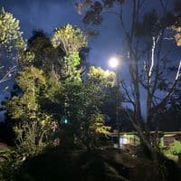 TikTok Account - mogeppl630