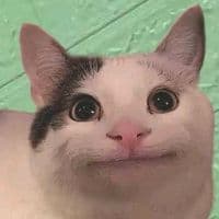 TikTok Account - beluga1919