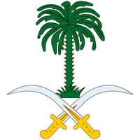 TikTok Account - nishan999n